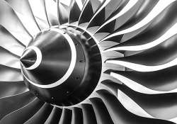 Engine fan